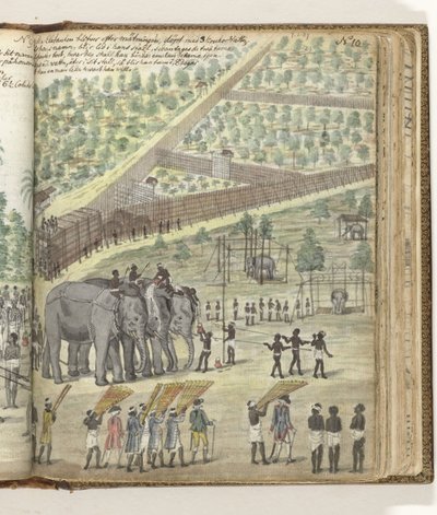 Att "döpa" en elefant av Jan Brandes