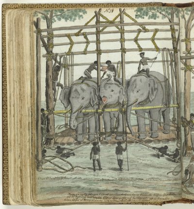 Tämja en elefant av Jan Brandes