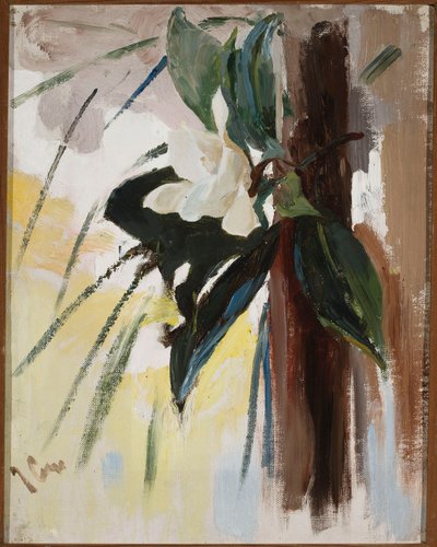 Magnolia av Jan Ciągliński