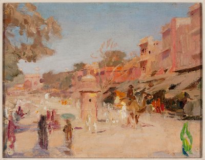 Gata i Jaipur. Från en resa till Indien av Jan Ciągliński