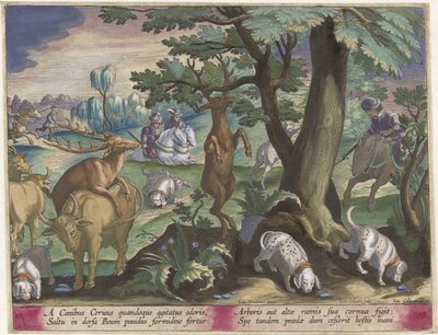 Hertenjacht met honden Jachttaferelen (serietitel) Jakten på vilt, fågel och fisk i Bestiary (serietitel) av Jan Collaert