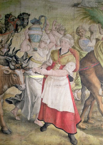 Kampanj av kejsar Karl V av Jan Cornelisz Vermeyen