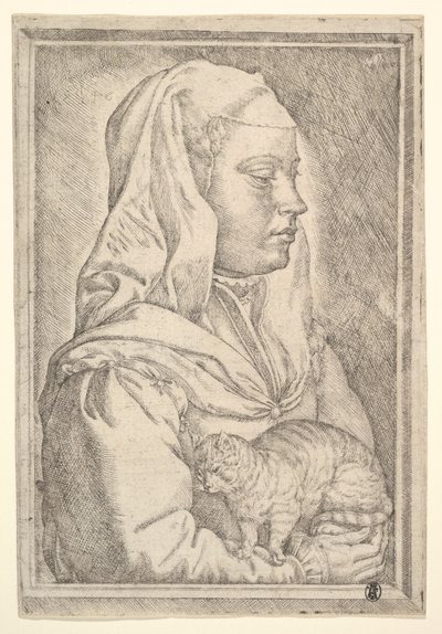 Flicka med en katt, 1546. av Jan Cornelisz Vermeyen