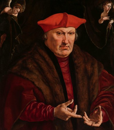 Porträtt av Erard de la Marck Porträtt van Erard de la Marck av Jan Cornelisz Vermeyen