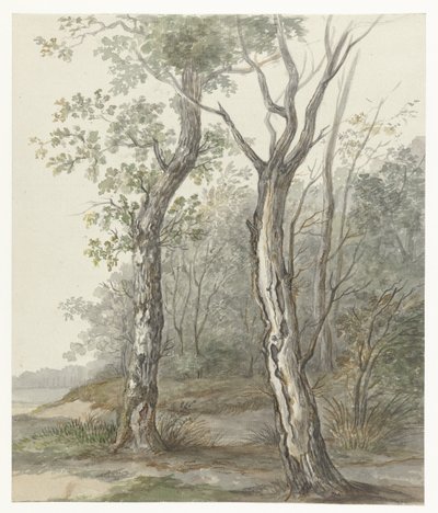 skogslandskap av Jan Dasveldt