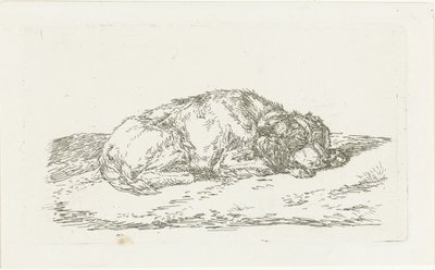 Sovande hund med huvudet vilande på frambenen av Jan Dasveldt