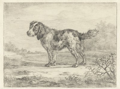 Spaniel står i ett landskap av Jan Dasveldt