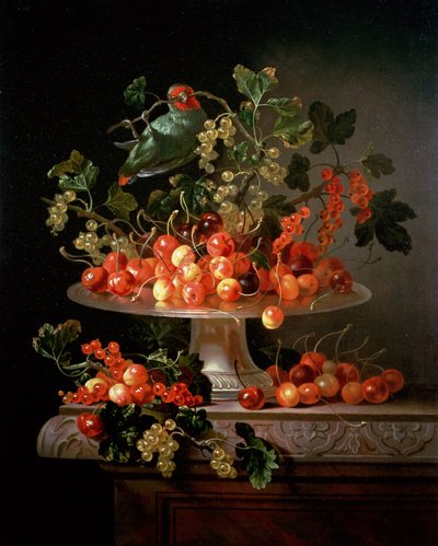 Ett stilleben av körsbär och vinbär med en papegoja av Jan Frans van Son