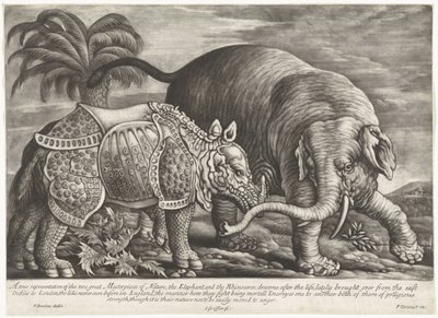 Olifant een neushoorn En sann representation av naturens två stora mästerverk, elefanten och noshörningen (titel på objektet) av Jan Griffier (I)