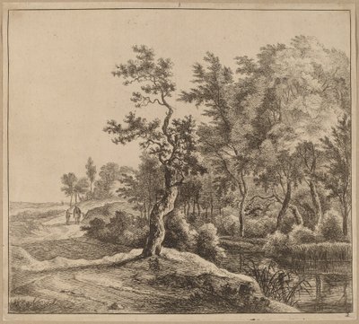 Landskap med en slingrande väg av Jan Hackaert