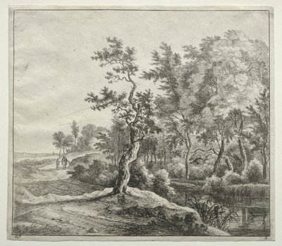 Serpentine Road av Jan Hackaert