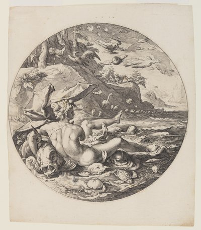 Den femte dagen, plansch 6, från Världens skapelse av Jan Harmensz. Muller