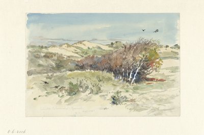 Dynlandskap mellan Bloemendaal och IJmuiden av Jan Hoynck van Papendrecht