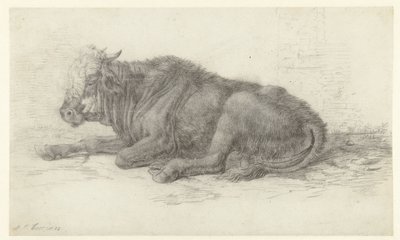 Liggande ko av Jan Joost van Cossiau