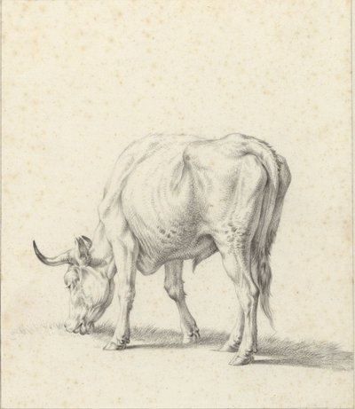 betande tjur av Jan Kobell (II)