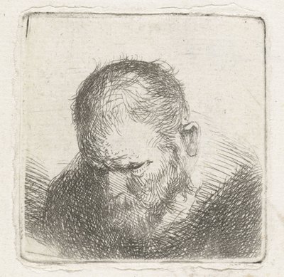 Man med skägg av Jan Lievens (possibly)
