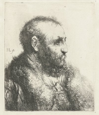 Byst av en gammal man med en päls av Jan Lievens