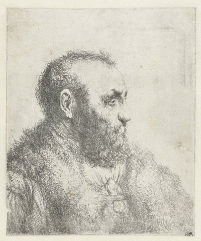 Byst av en gammal man med päls av Jan Lievens