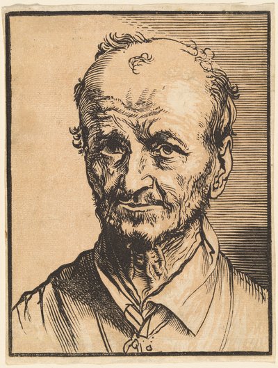 Byst av en skallig man av Jan Lievens