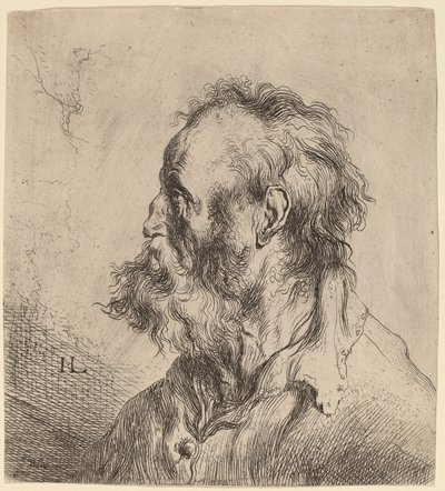 Byst av en skäggig gammal man av Jan Lievens