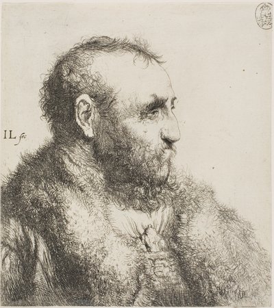 Byst av en gammal man av Jan Lievens