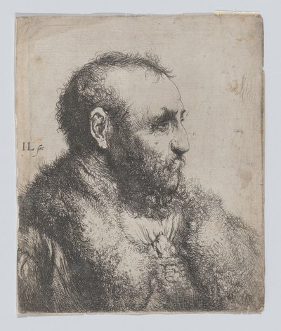 Byst av en gammal man med pälskrage av Jan Lievens