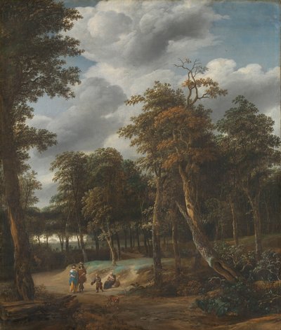 Skogsväg av Jan Looten