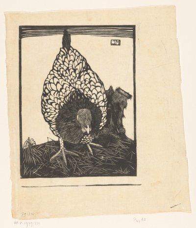 silver wyandotte av Jan Mankes