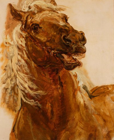 Skiss av ett hästhuvud till tavlan ”Zamoyski vid Byczyna” av Jan Matejko