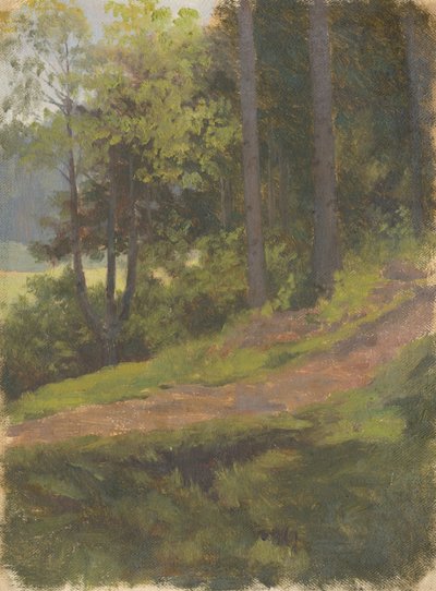Stig på kanten av skogen av Jan Nowopacký