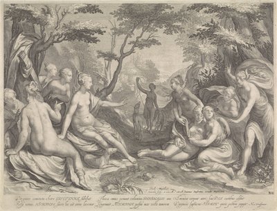 Diana upptäcker Callistos graviditet av Jan Saenredam