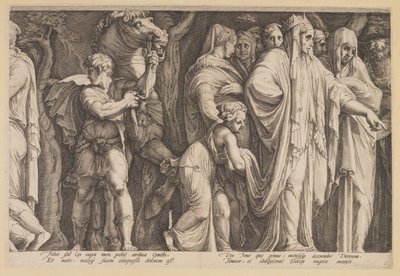 Bestraffningen av Niobe (plansch 6) av Jan Saenredam