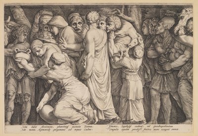 Bestraffningen av Niobe (plansch 7) av Jan Saenredam