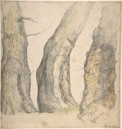 Studie av tre gamla knotiga träd, 1660. av Jan Siberechts
