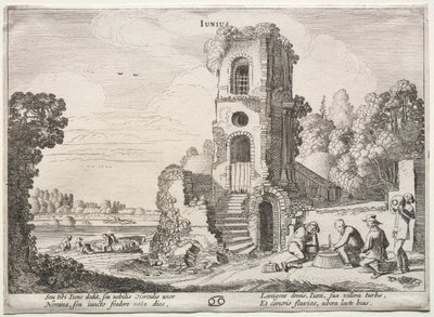 De tolv månaderna: juni. av Jan Van de Velde