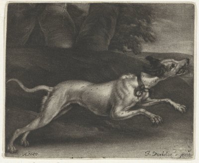 springande hund av Jan Verkolje (I)