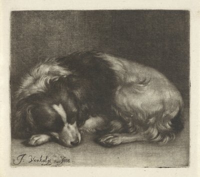Sovande hund, möjligen en spaniel av Jan Verkolje (I)