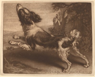 En spaniel som hoppar av Jan Verkolje I
