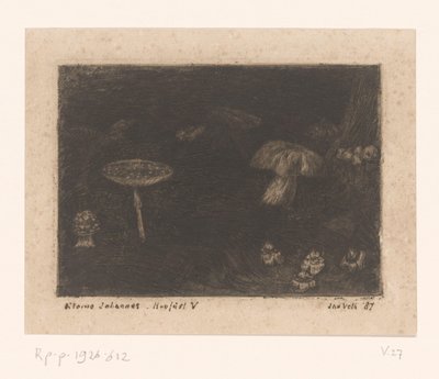 svamp av Jan Veth (signed by artist)