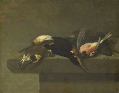 Döda fåglar av Jan Vonck