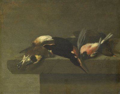Döda fåglar av Jan Vonck