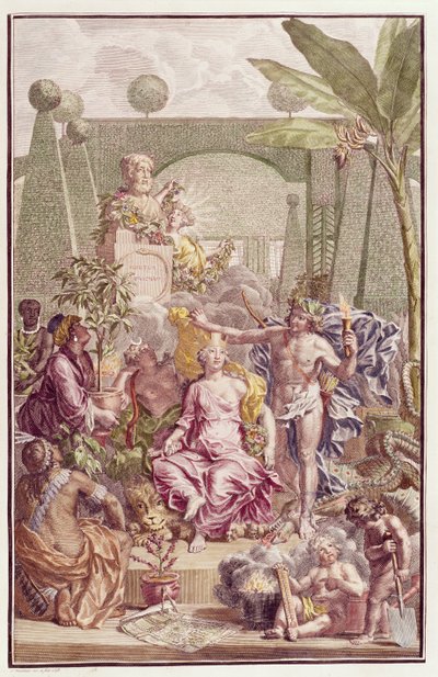 Frontispice av "Hortus Cliffortianus" av Carl Linnaeus (1707-78) av Jan Wandelaar