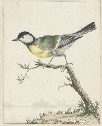 Svartmes av Jan Baptist Weenix