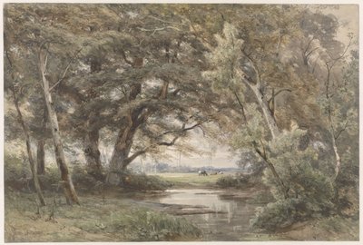 Vatten under träd i slutet av en skog av Jan Willem van Borselen