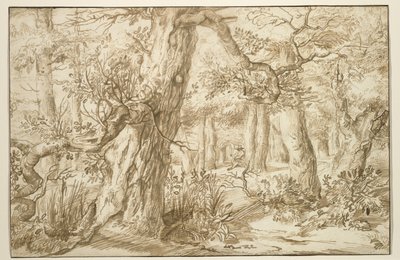 Skogsinteriör med ritare, ca 1664 (brunt bläck på antikt papper) av Jan the Elder Lievens