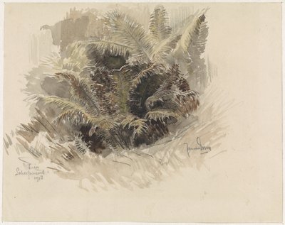Kungens ormbunke i en trädgård i Scherpenzeel av Jan van Essen