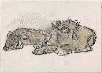 Liggande lejon och lejoninna av Jan van Essen