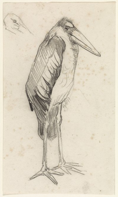Marabou av Jan van Essen