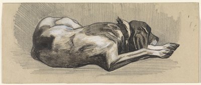 Sovande hund, till höger av Jan van Essen