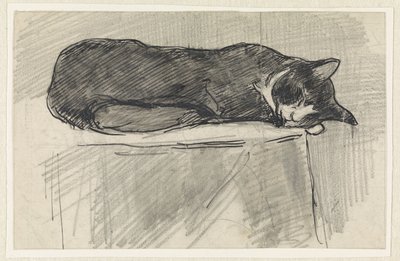Sovande katt av Jan van Essen